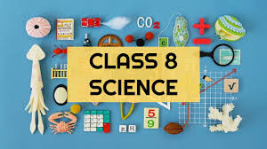 CBSE